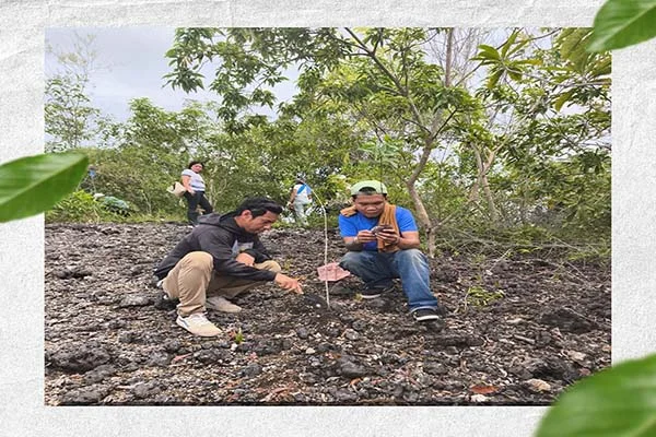 Tree Planting Activity