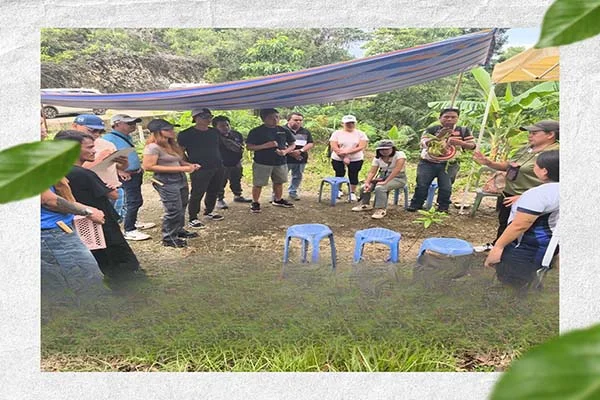 Tree Planting Activity